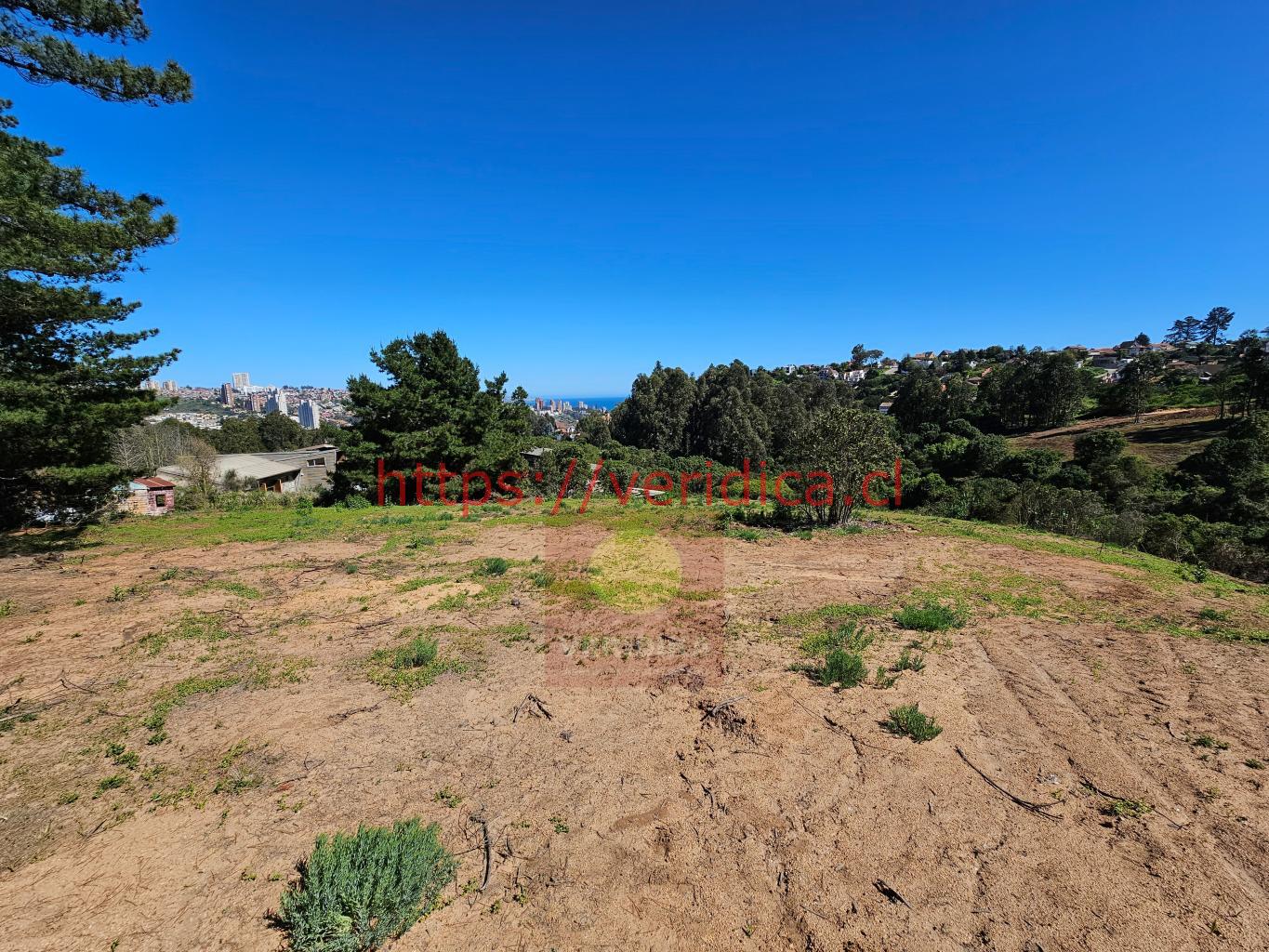 VERIDICA LIMITADA - Veridika vende en Reñaca hermosos terrenos de 700m2 ...